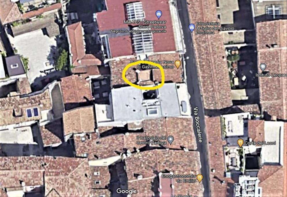 Residence Dei Frutti Pieno Centro - Il Cedro Padova Exterior foto